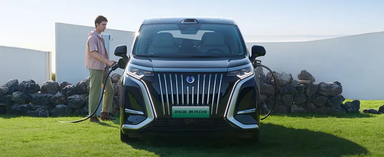 Denza D9 EV Charging - New Energy Vehicle